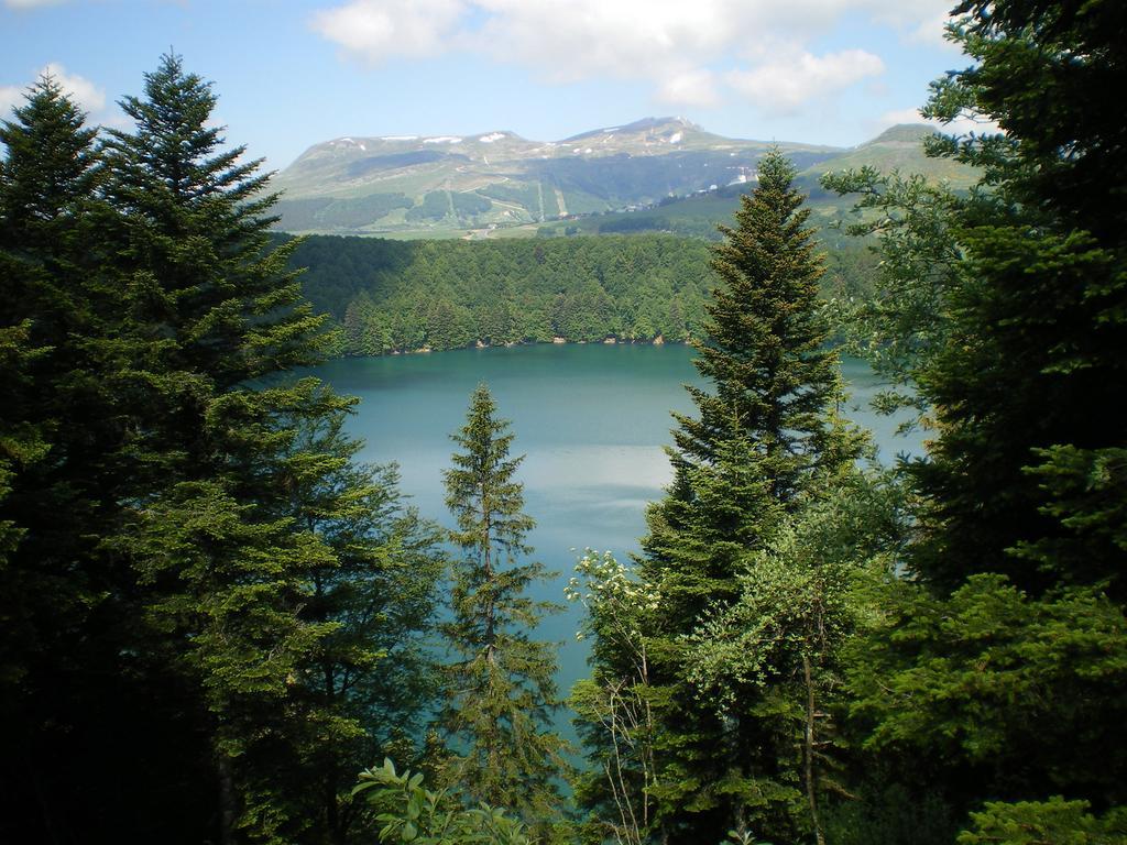 Villa Les Chenets Chambon-sur-Lac Esterno foto